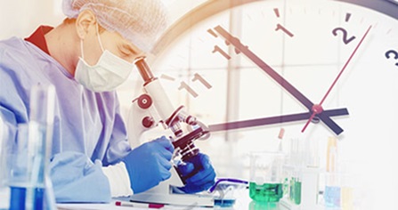 (画像を表す適切なテキスト)