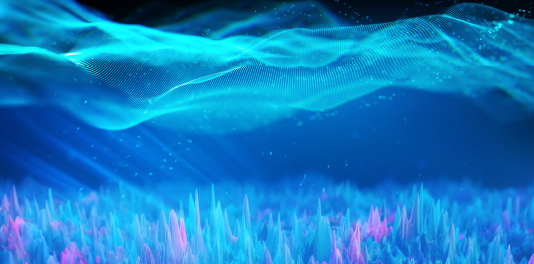 Key Features and Differentiation